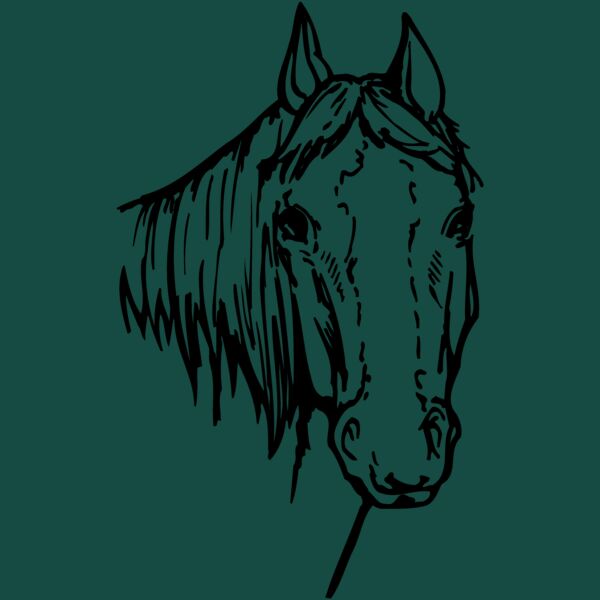 HORSE004 Thumbnail