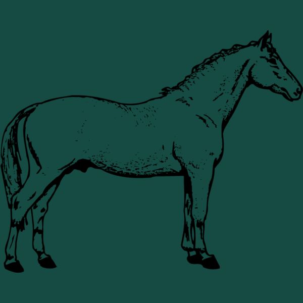 HORSE019 Thumbnail