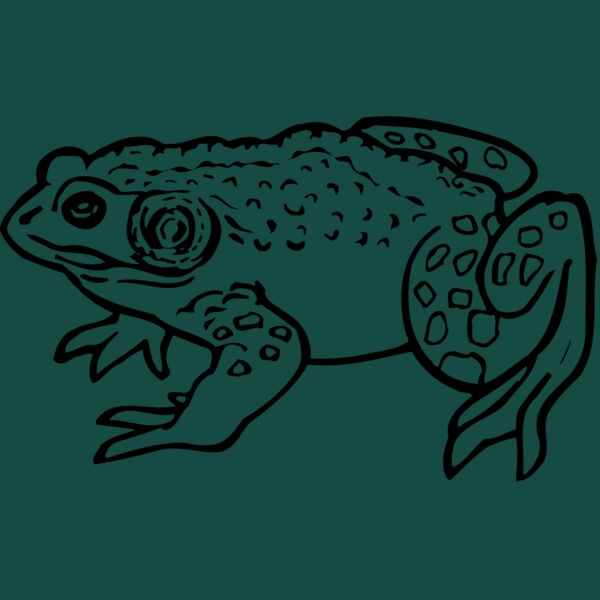 FROG02 Thumbnail