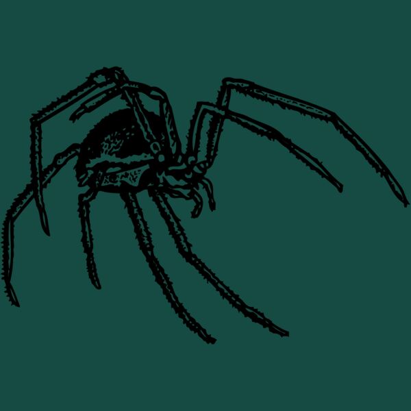 SPIDER01 Thumbnail