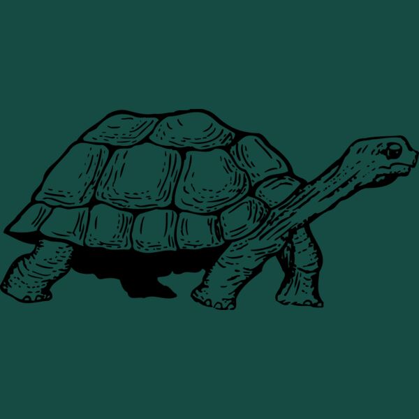 TURTLE01 Thumbnail