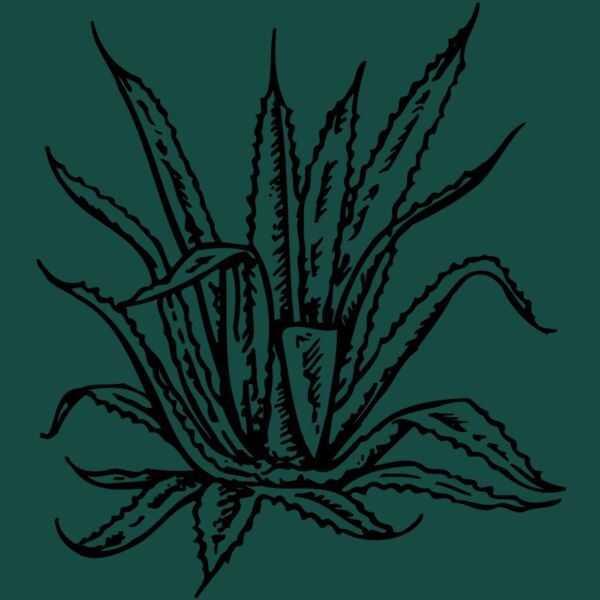 PLANT02 Thumbnail