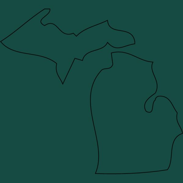 MICHIGAN Thumbnail